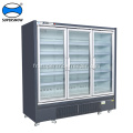 Porte en verre Frozen Aliments Fridge Fridge